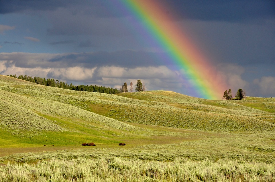 What are the colours of the rainbow in order? 1