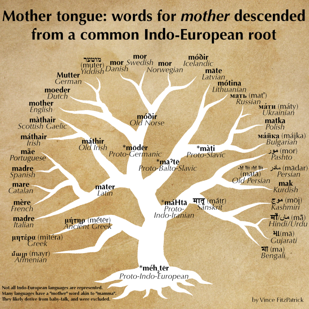 Monther Tounge